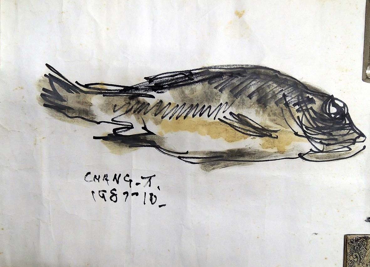 張萬傳，魚，設色水墨畫作品