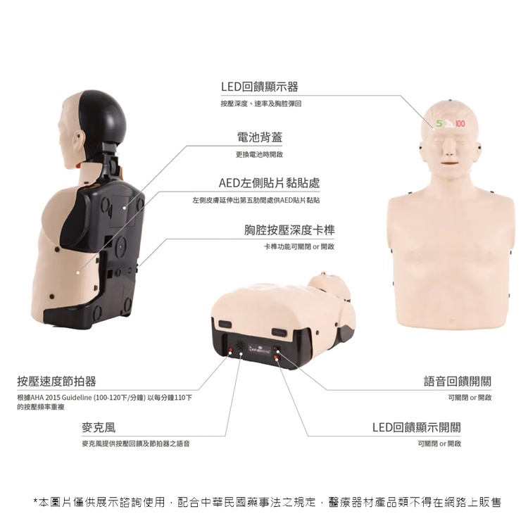 成人CPR訓練模型