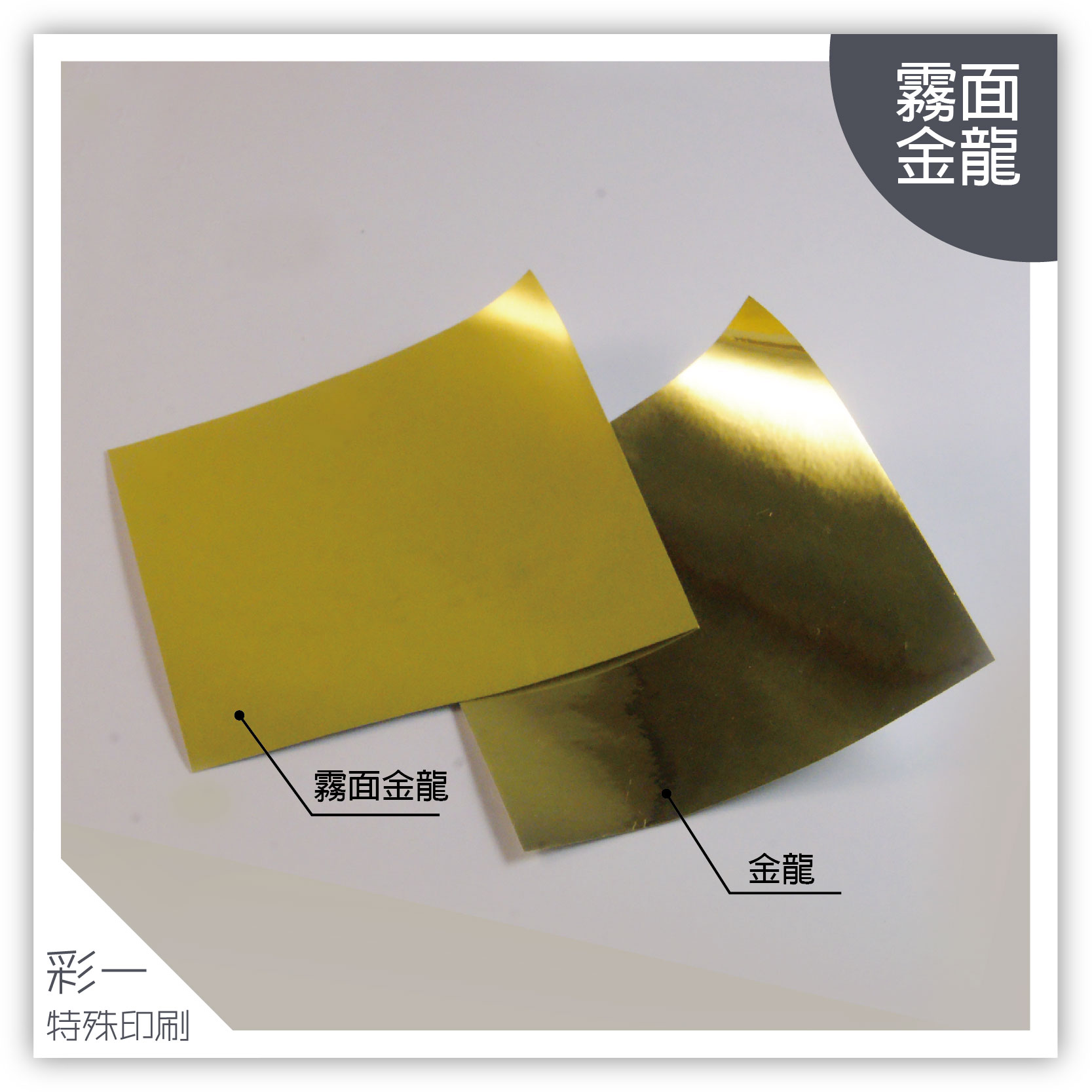 金龍&amp;消金龍-材質