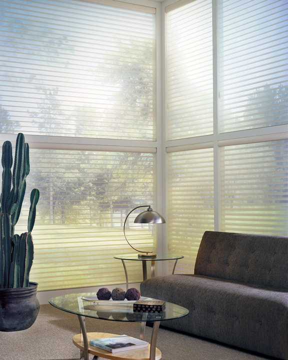 挑高的絲柔雅02