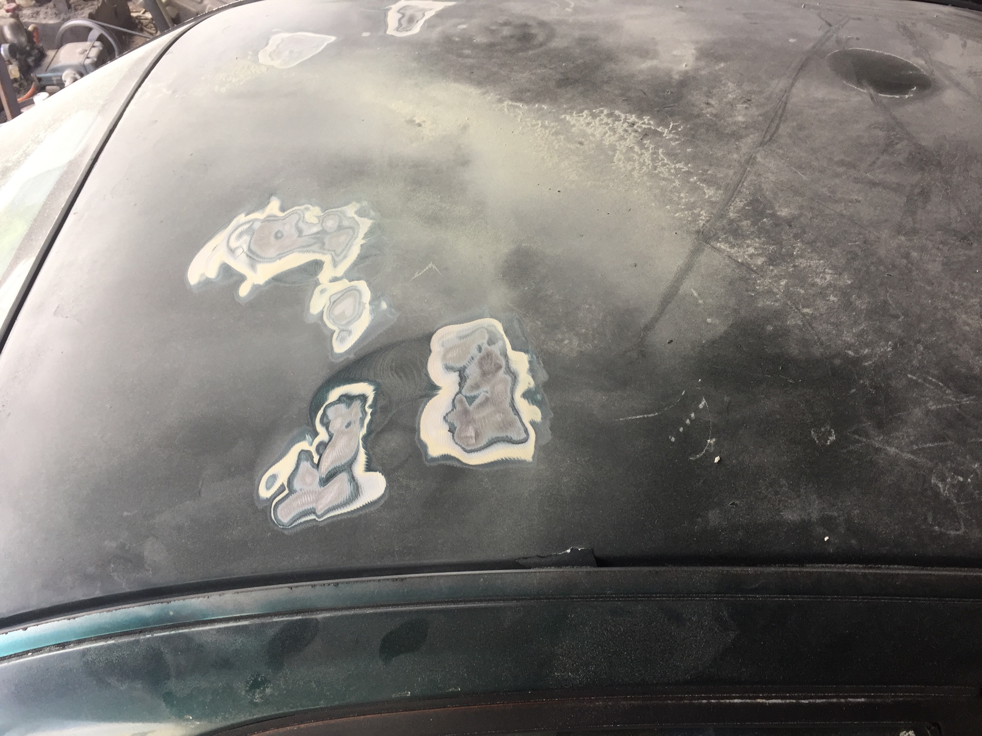 烤漆專輯-整修前-汽車掉漆見鋼板了-久隆汽車修理廠