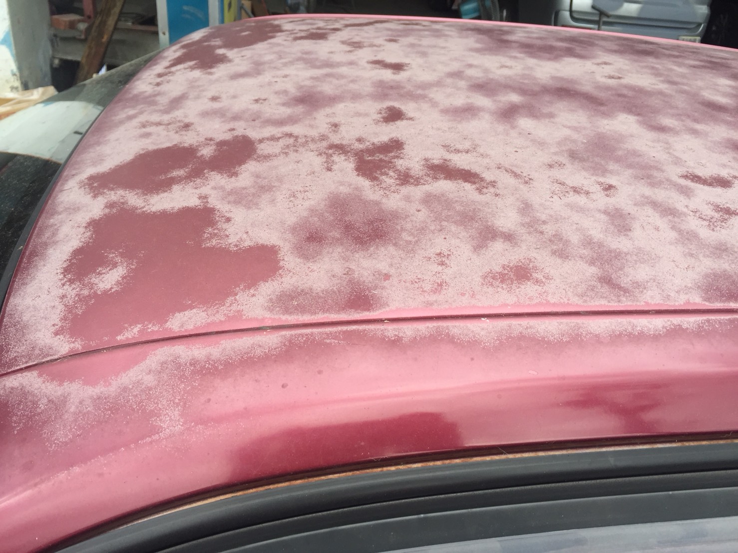 Toyota風吹日曬雨淋-烤漆前-久隆汽車修理廠