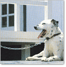 12點氬焊，不銹鋼美國規格短目鍊