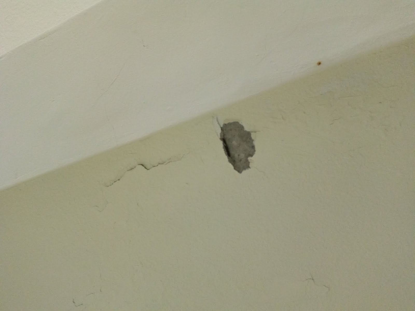 台北市舊屋室內住家油漆&新北油漆&板橋油漆