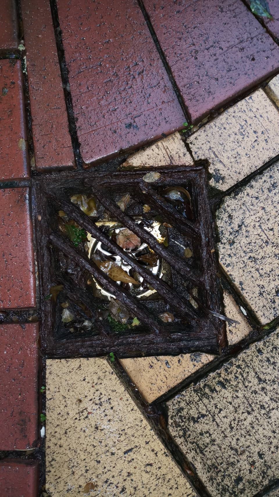 台北市鐵窗更新安裝、鐵工特殊訂製