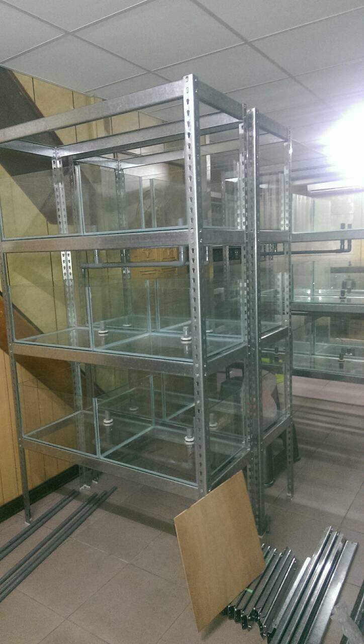 免螺絲角鋼組合架