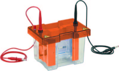 小型垂直電泳槽