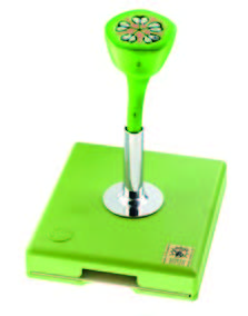 子房橫切模型(SOMSO)