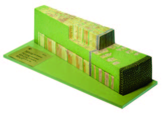 木本雙子葉植物莖模型(SOMSO)