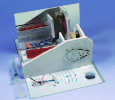 耳朵功能演示模型(