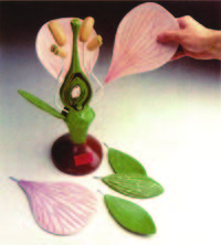 精密大型花的模型(