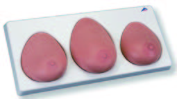 三件式乳房模型(3B)