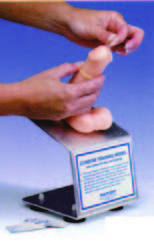 安全的性教學模型(