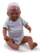 嬰兒腦部搖晃模型(