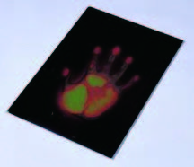 液晶熱像顯示板(日貨)