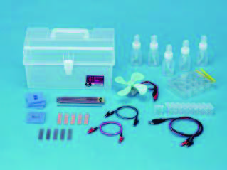 電解電池實驗組(