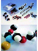 生化分子模型組