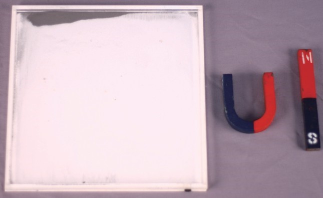 鐵粉演示磁場實驗盤