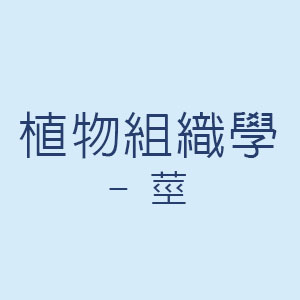 植物組織學