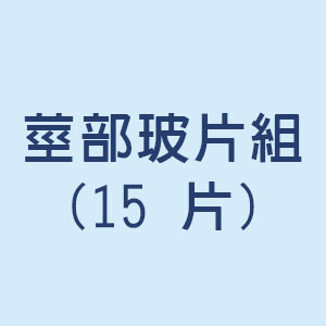 莖部玻片組(15