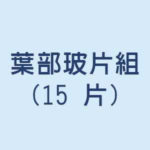 葉部玻片組(15