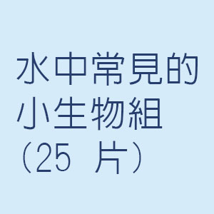水中常見的小生物組