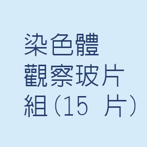 染色體觀察玻片組15