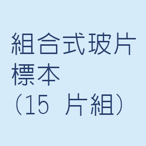組合式玻片標本(15
