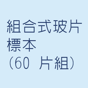 組合式玻片標本(60