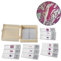 人類病理玻片組(