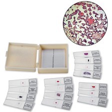 哺乳動物生殖玻片組(