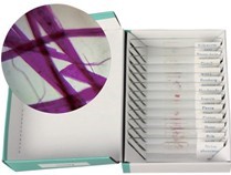 紡織纖維觀察玻片組(