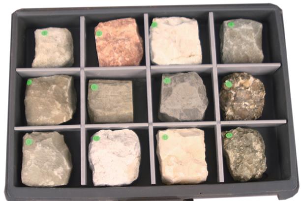 沉積岩標本