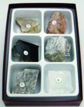 42礦物裂紋觀察組