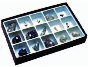 化石形成收藏組合