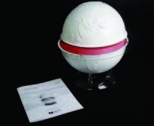 地球內部構造模型(美貨)