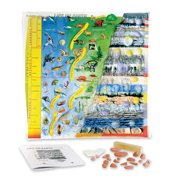 地史模型(美貨)