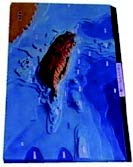 台灣附近海底地形模型(台製)