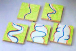 河流發育模型(台製)