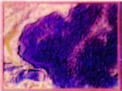 海底地形模型(美製)