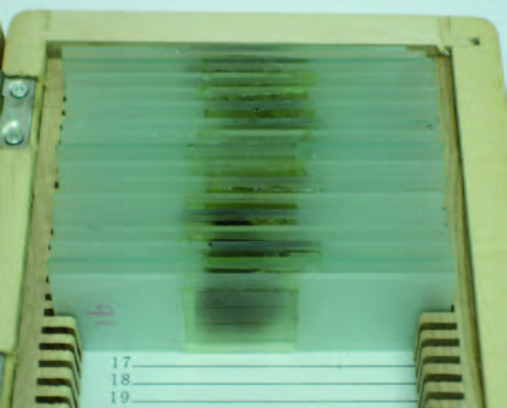 岩石、礦物薄片標本