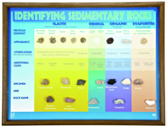 沉積岩標本展示教學圖表板