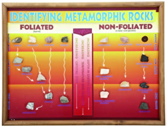 變質岩標本展示教學圖表板