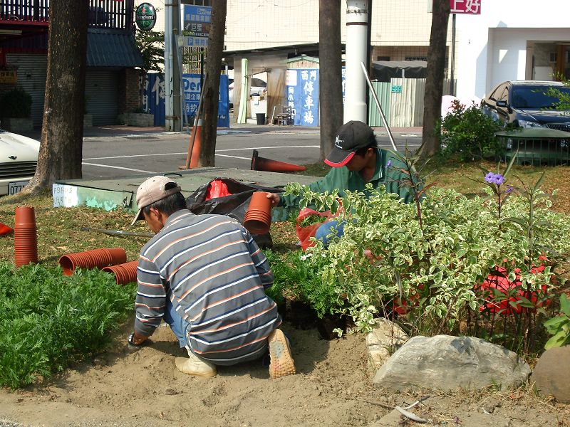 台南園藝整理