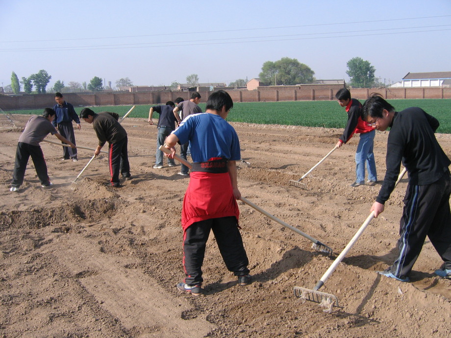 人力派遣-整地工程