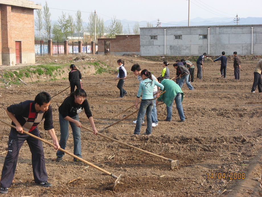 人力派遣-整地工程
