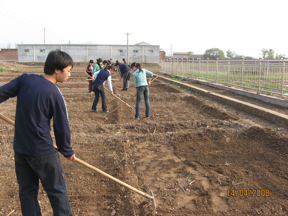 人力派遣-整地工程