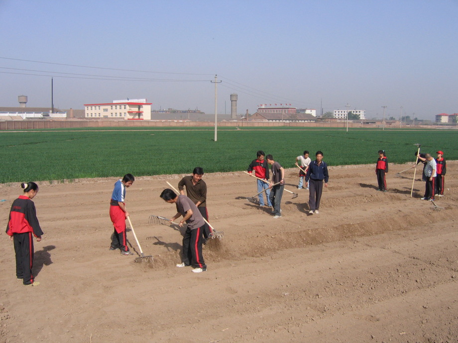 人力派遣-整地工程