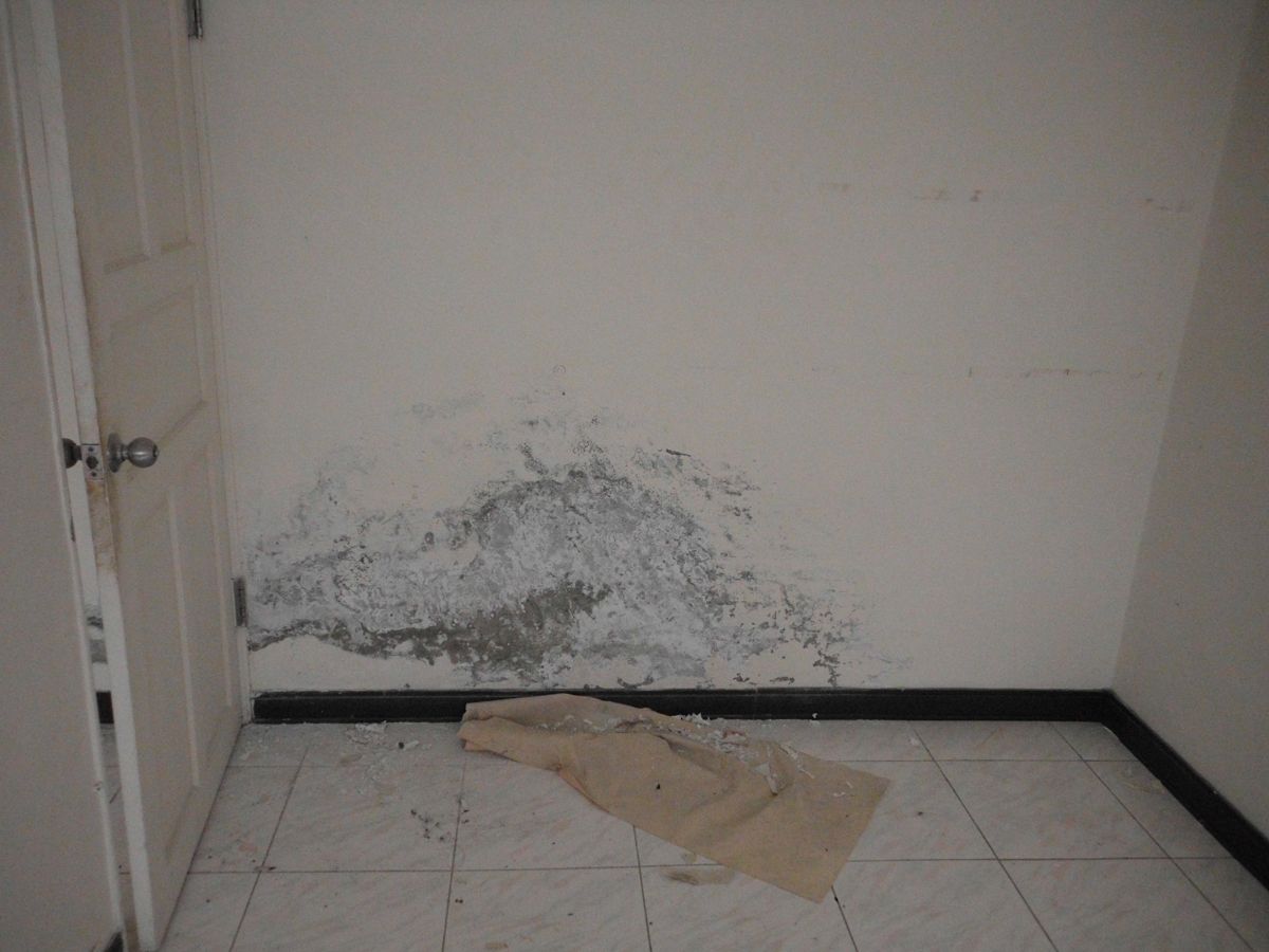 台南油漆-批土補縫