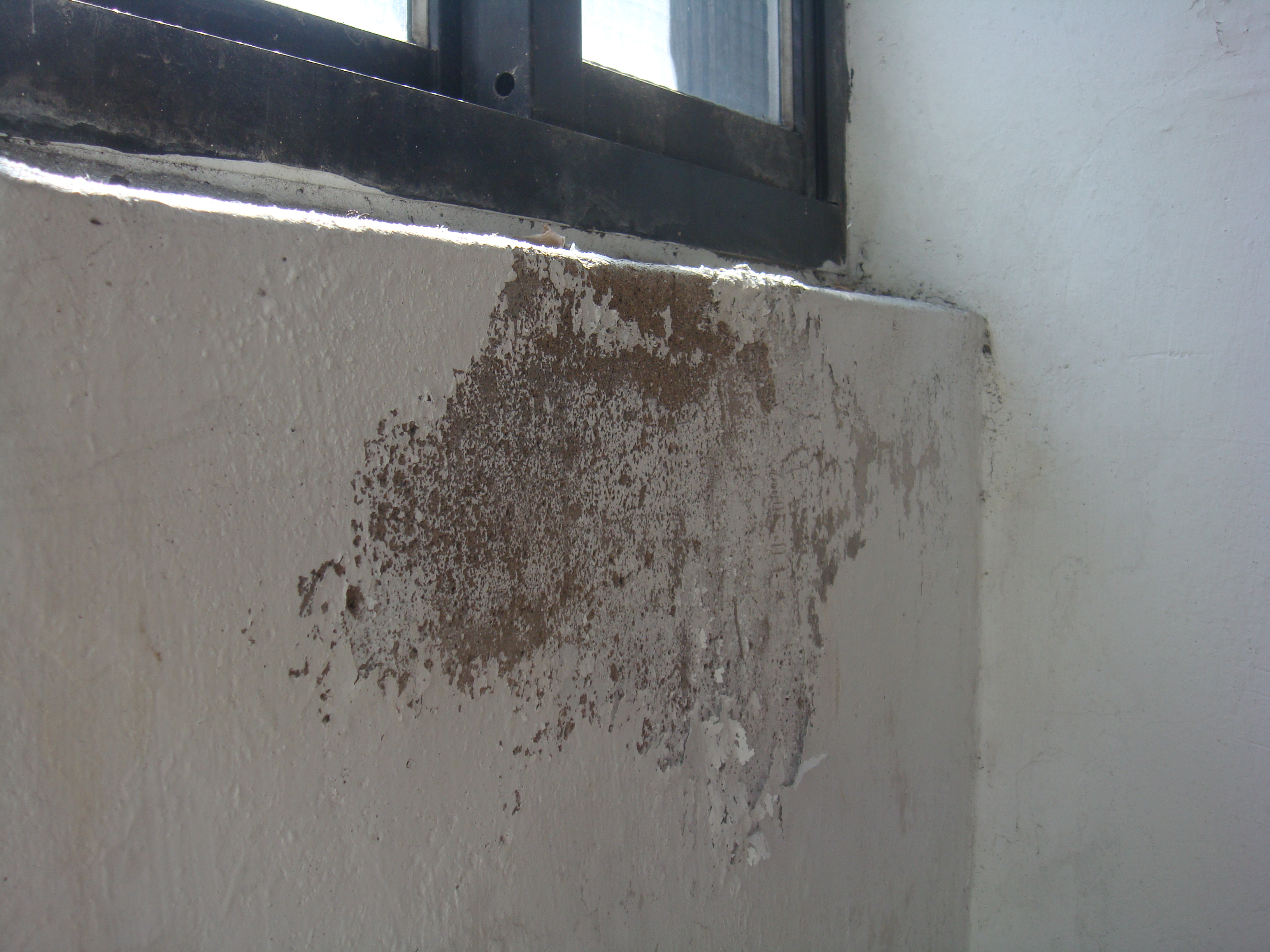 台南油漆工-壁癌處理前